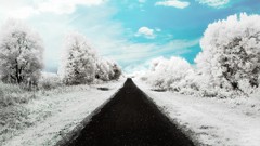 Landscapes nature snow roads