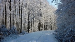 Landscapes nature snow roads