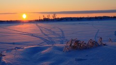 Landscapes nature snow sunlight