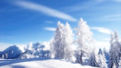 Landscapes nature snow Trees