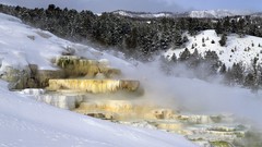 Landscapes nature snow Trees