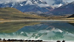 Landscapes nature snow water Mountains clouds Horses lagoon 