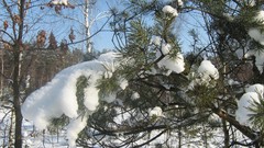 Landscapes nature snow winter