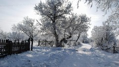 Landscapes nature snow winter