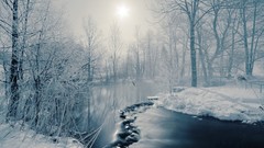 Landscapes nature snow winter