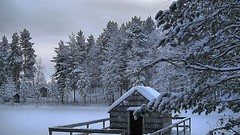 Landscapes nature snow winter