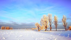 Landscapes nature snow winter