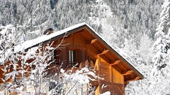 Landscapes nature snow winter