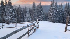 Landscapes nature snow winter