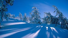 Landscapes nature snow winter