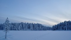 Landscapes nature snow winter