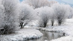 Landscapes nature snow winter