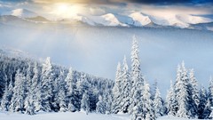 Landscapes nature snow winter