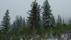 Landscapes nature snow winter