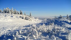 Landscapes nature snow winter