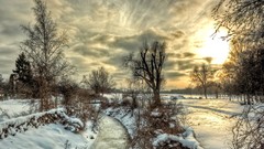 Landscapes nature snow winter