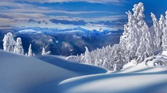 Landscapes nature snow winter