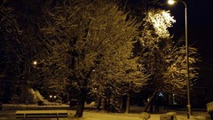 Landscapes nature snow winter