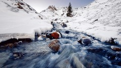 Landscapes nature snow winter cold