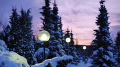 Landscapes nature snow winter evening Lamps