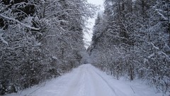 Landscapes nature snow winter forests