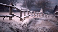 Landscapes nature snow winter frost roads fences depth of field