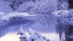 Landscapes nature snow winter HDR Photography