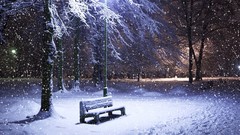 Landscapes nature snow winter light bench Parks