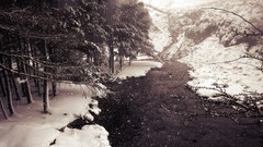 Landscapes nature snow winter monochrome forests