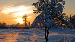 Landscapes nature snow winter sun light shine