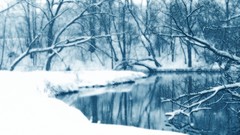 Landscapes nature snow winter water branches lakes reflections