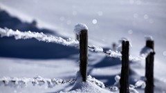 Landscapes nature snow wire protection