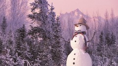 Landscapes nature Snowmen snow landscapes