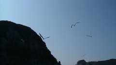 Landscapes nature south korea