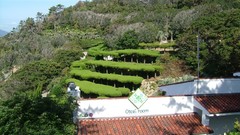 Landscapes nature south korea