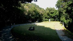 Landscapes nature south korea