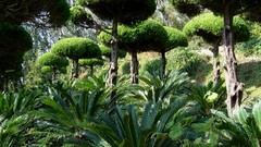 Landscapes nature south korea