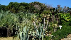 Landscapes nature south korea