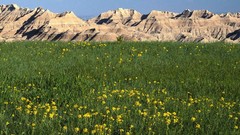 Landscapes nature south national park