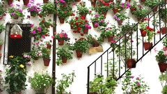 Landscapes nature Spain festival