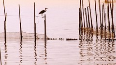 Landscapes nature Spain national park