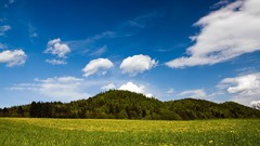 Landscapes nature spring Austria Europe fields forests
