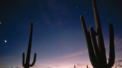 Landscapes nature Stars Arizona national park deserts