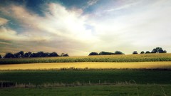 Landscapes nature Stars fields