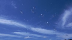 Landscapes nature summer bubbles