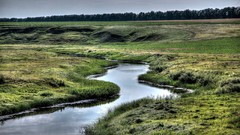 Landscapes nature summer Russia rivers flora