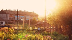 Landscapes nature summer sunlight