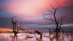 Landscapes nature sun