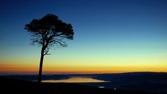 Landscapes nature sun