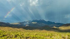 Landscapes nature sun